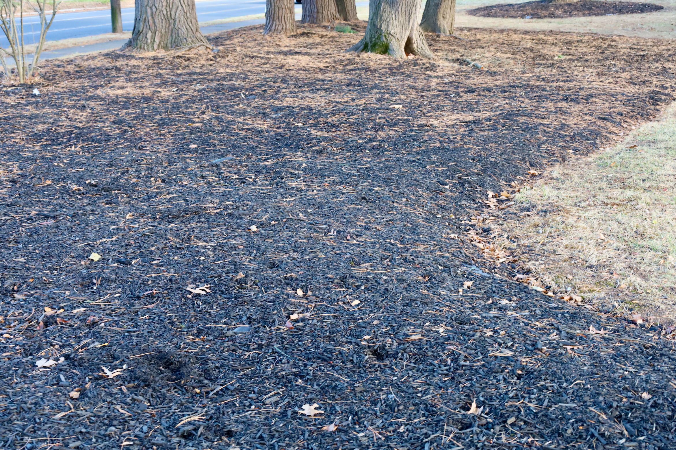 Connecticut mulching service